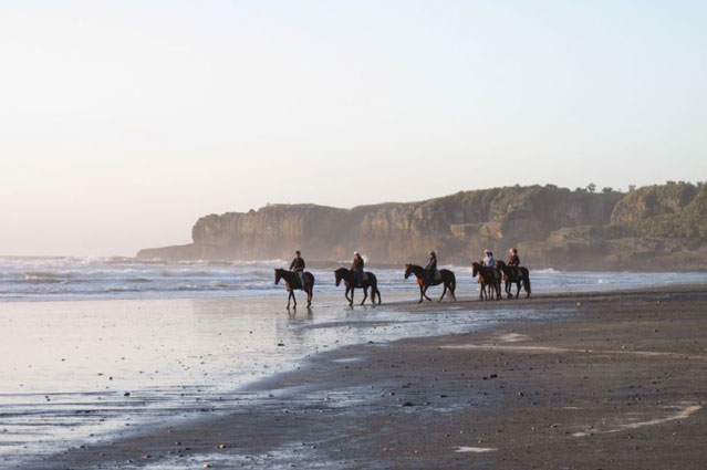 Punakaiki holiday home beachfron accommodation west coast new zealand