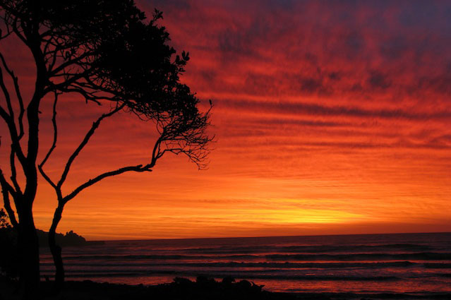 Punakaiki beach front luxury accommodation new Zealand